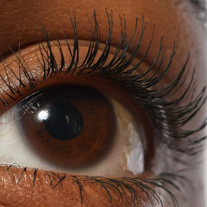 Lash Sculpt Lengthen and Lift Mascara *preorder*